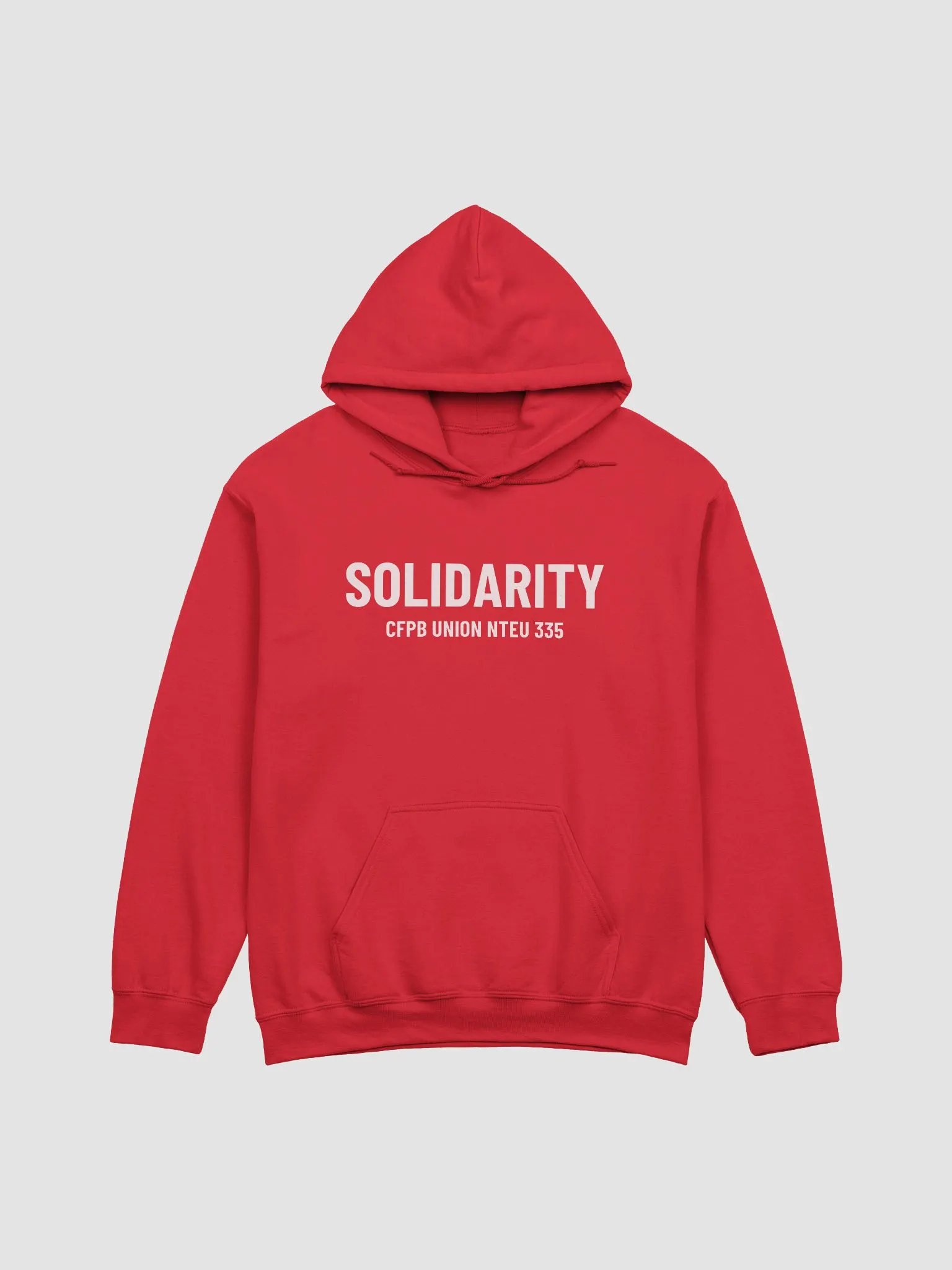 Solidarity CFPB Union Hoodie product image (1)