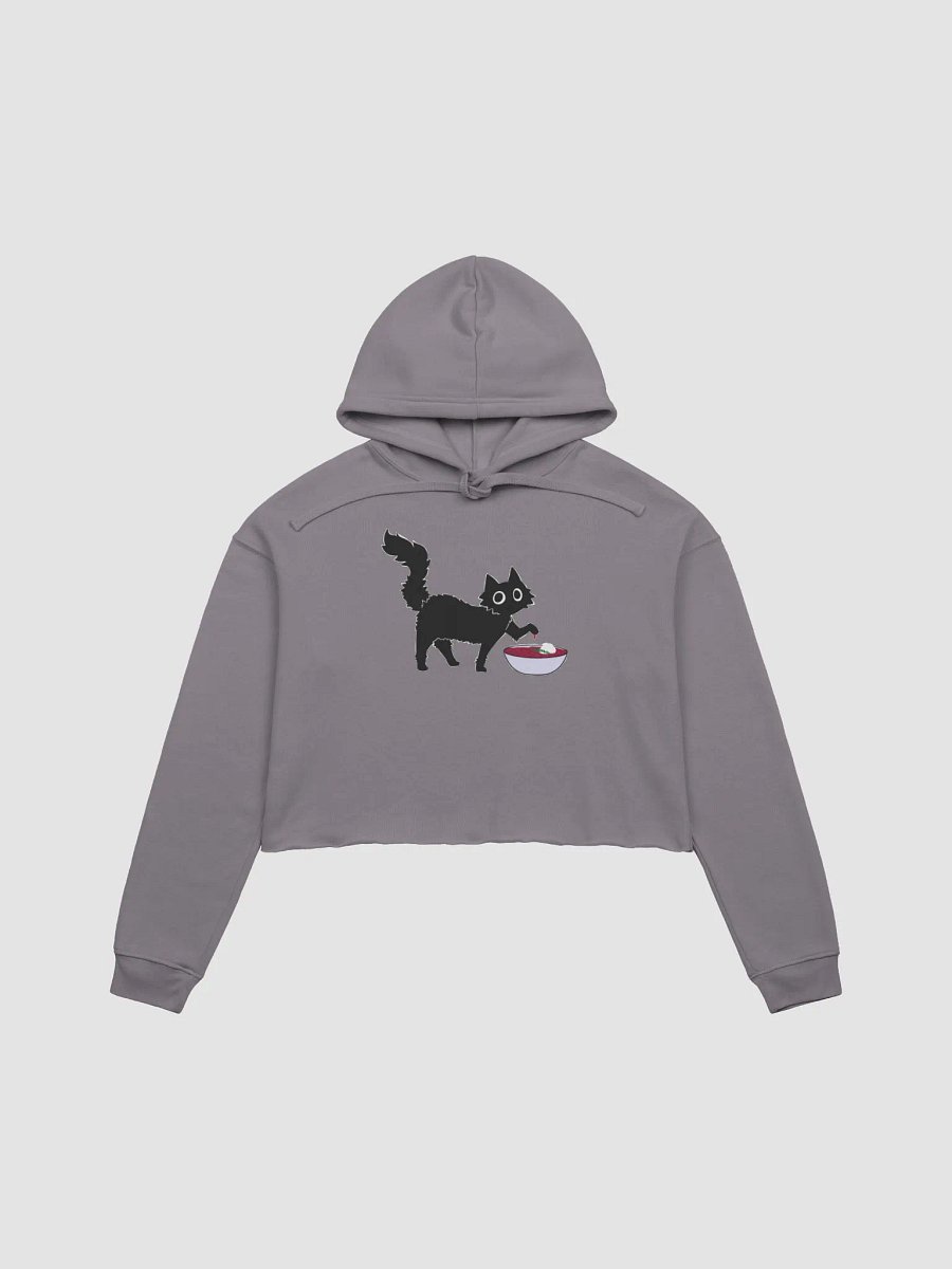 my BORSCHT fleece crop hoodie product image (2)
