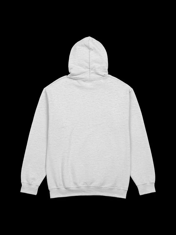 BA$IC Meltdown Hoodie product image (2)