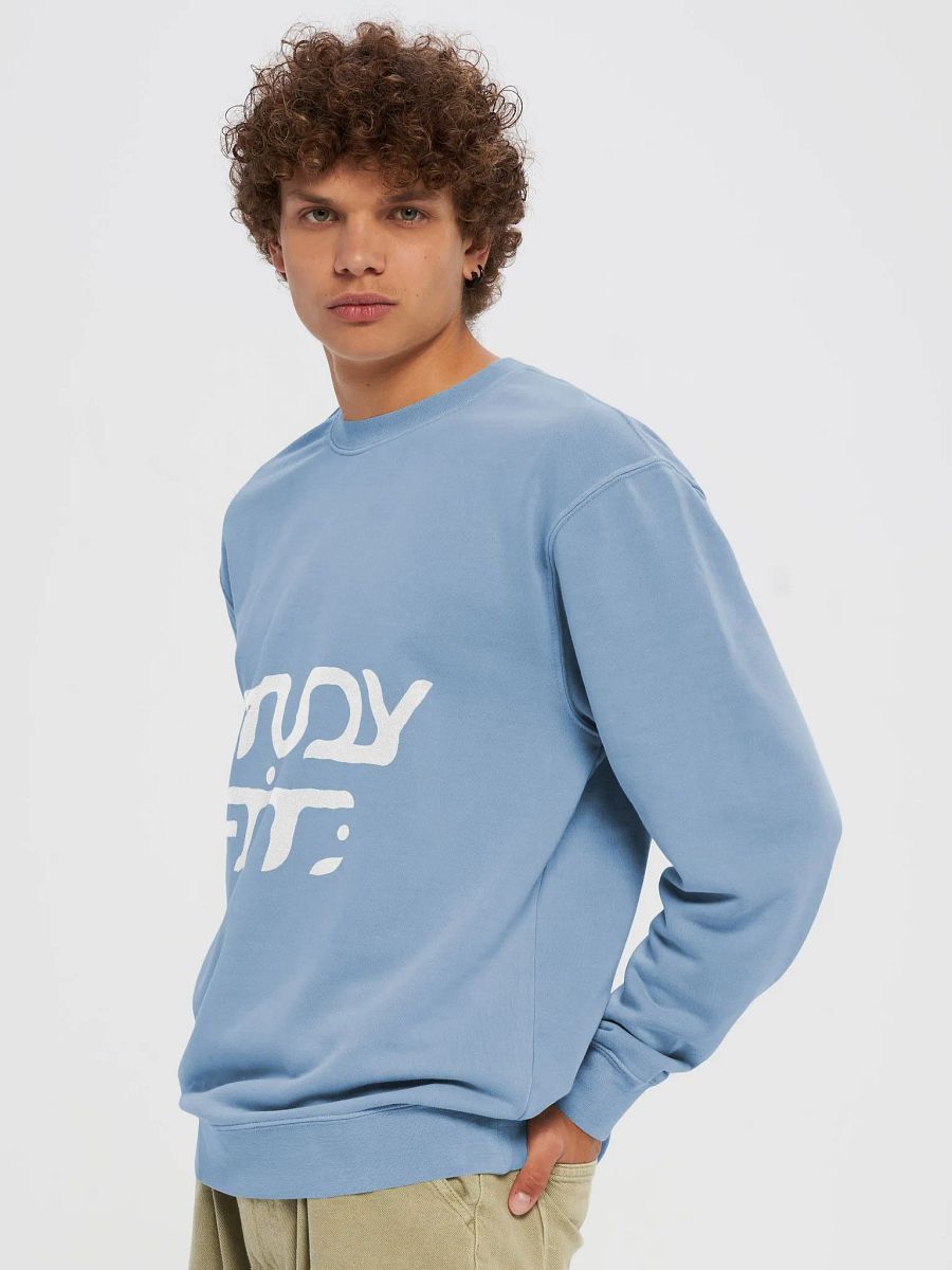 The Study Fit Pigment Dyed Sweatshirt product image (21)