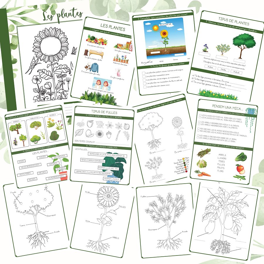 Les plantes product image (2)