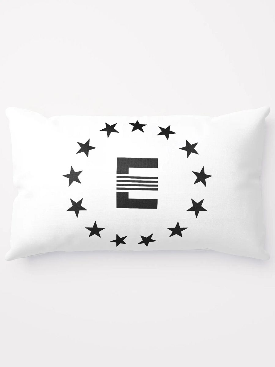 Enclave76 Basic Pillow product image (15)
