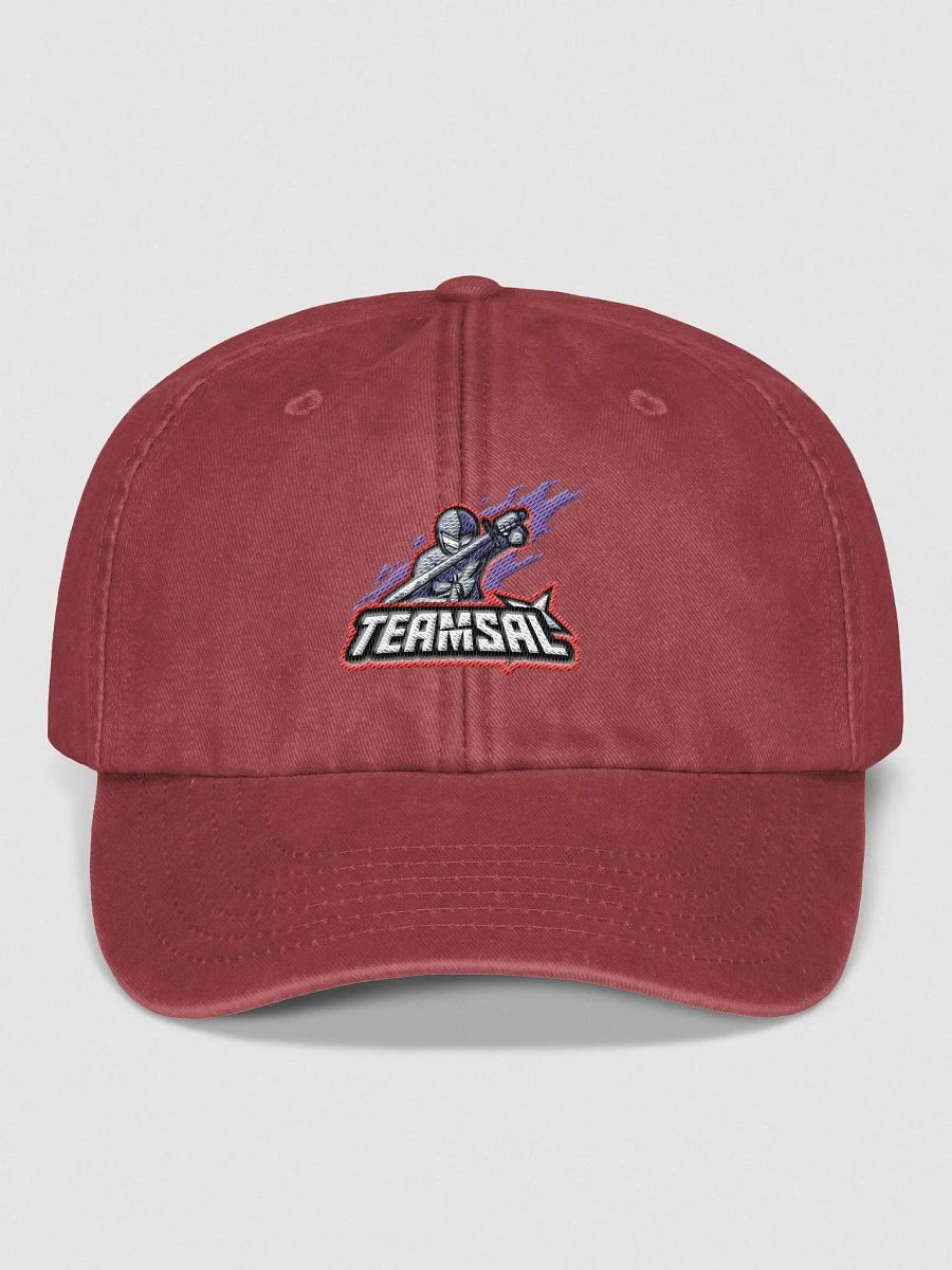 Team Sal Dad Hat product image (5)