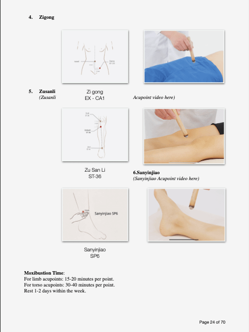 The Foundation of Wellness: Balancing Blood, Qi & Digestion product image (6)