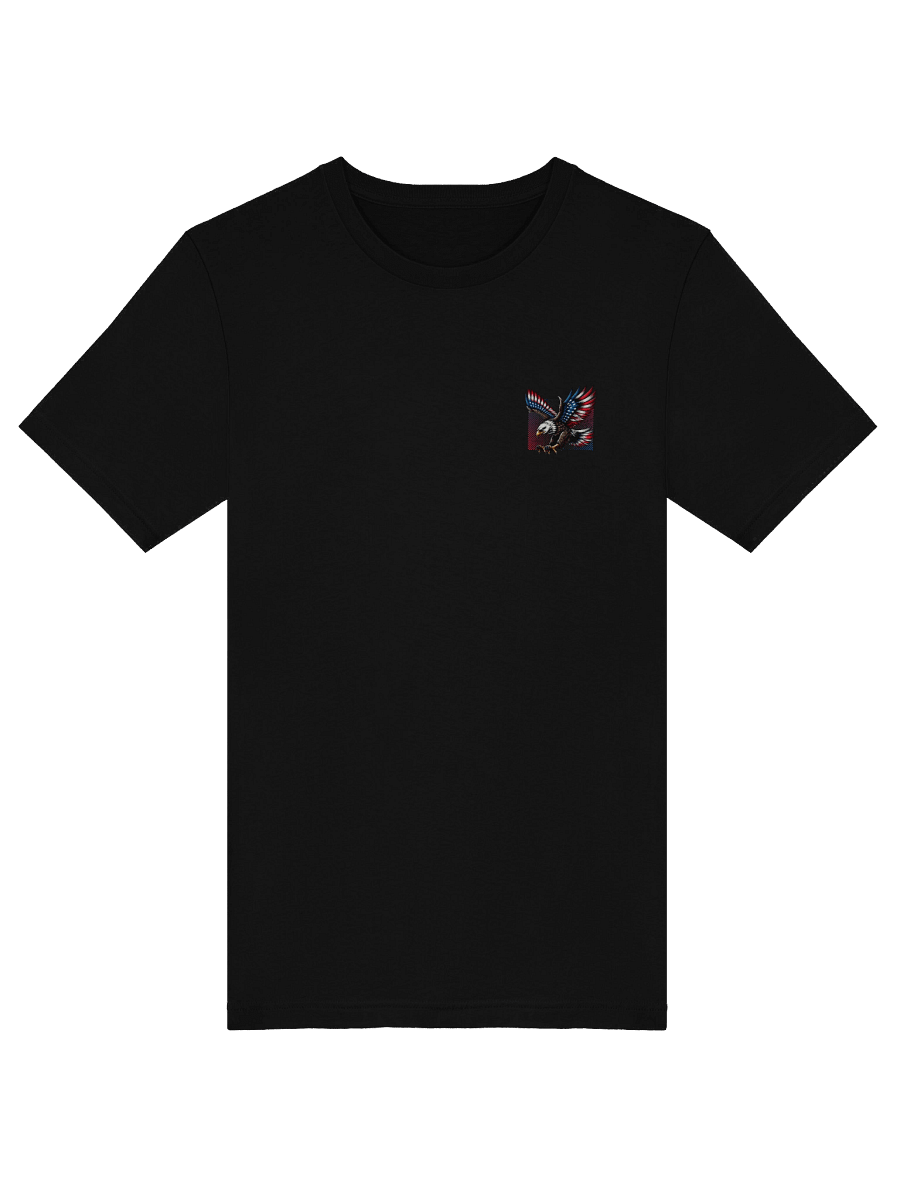 Stronger Together - America EST. 1776 product image (6)