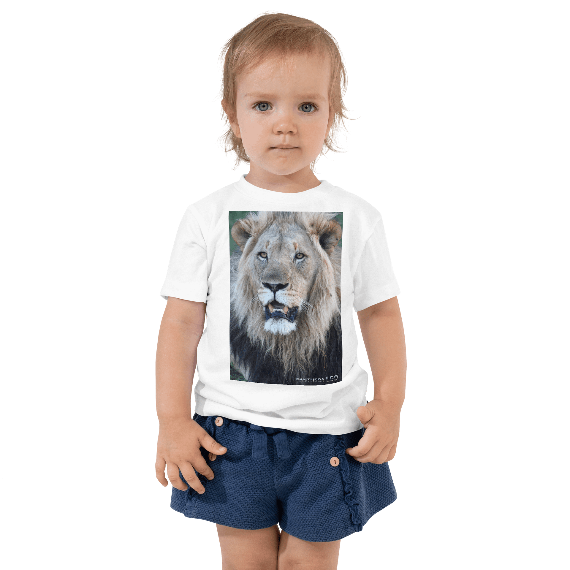 Lion Toddler Cotton T-Shirt-plain product image (2)