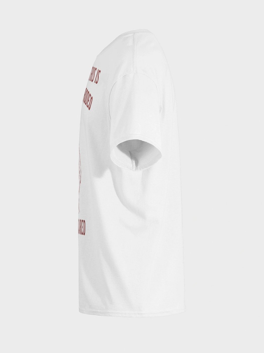 Actually this is my first rodeo product image (49)