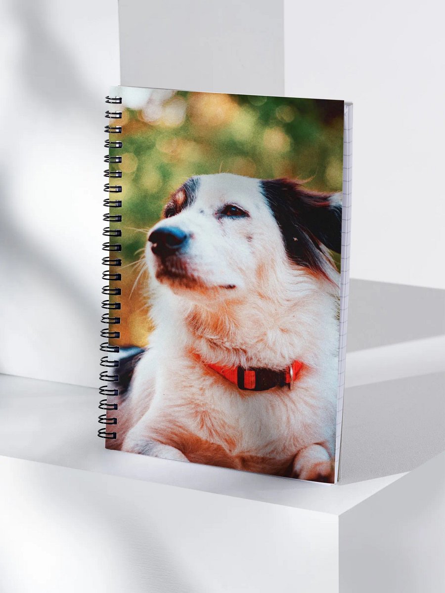 Lucky Notebook product image (4)