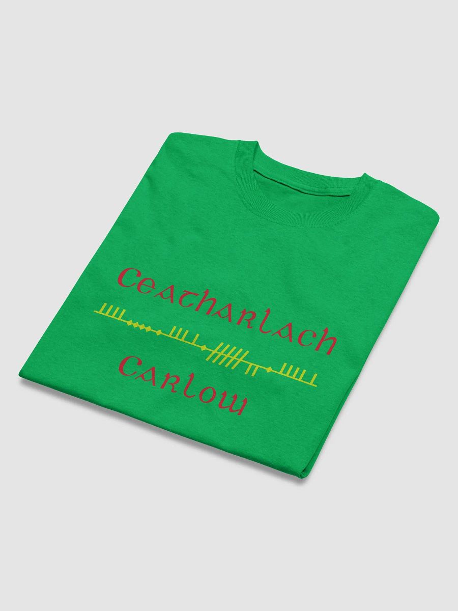 Carlow/Ceatharlach, Scholastic Style Ogham green Printed T-shirt product image (4)