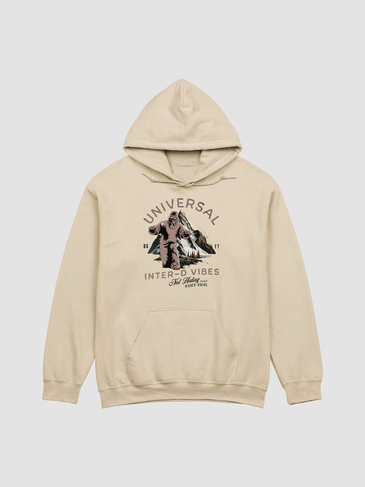 Interdimensional Bigfoot Abduction Hoodie product image (2)