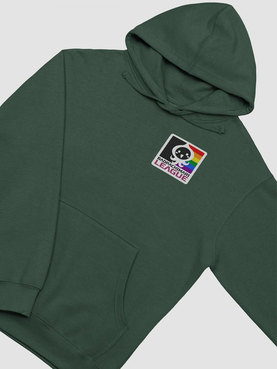 BPL Pride Midweight Hoodie product image (26)