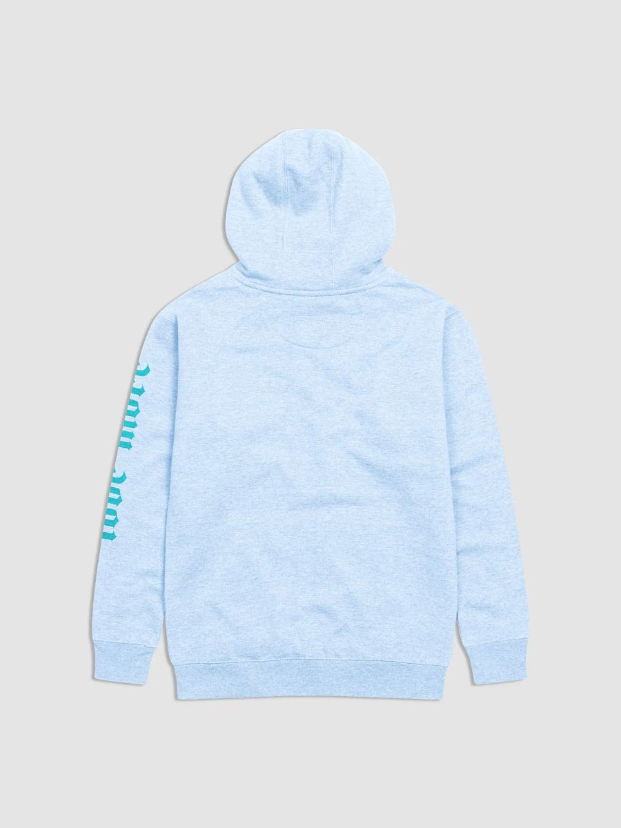 Love More, Hate Less Hoodie product image (3)