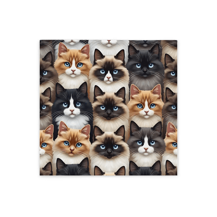 Ragdoll cats Pillow, no. RG004 product image (1)