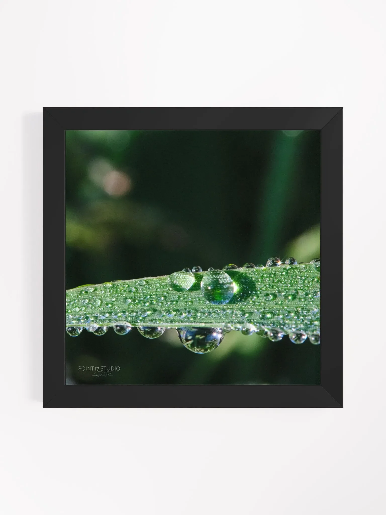 Dew Gems #2 - Framed Print product image (3)