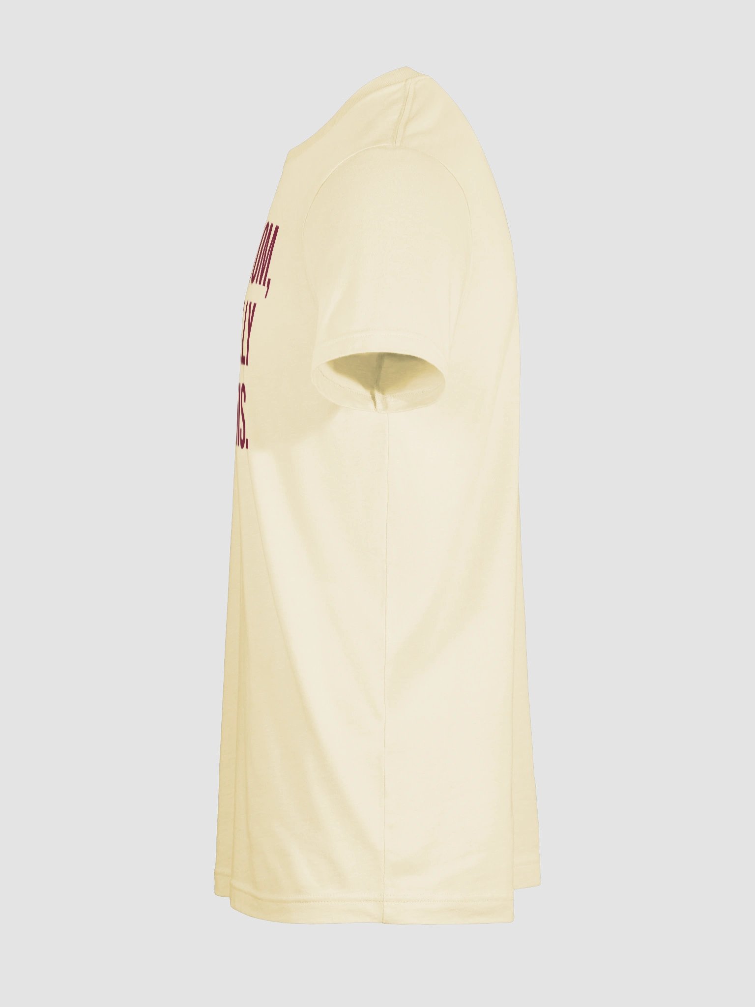 I'm a Mom, I Totally Got This T-Shirt – Bold Statement Tee for Confident Moms product image (11)