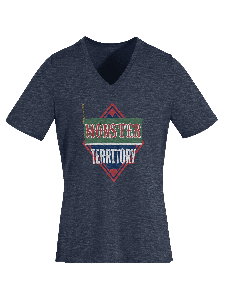 Women's V-Neck T-Shirt product image (8)