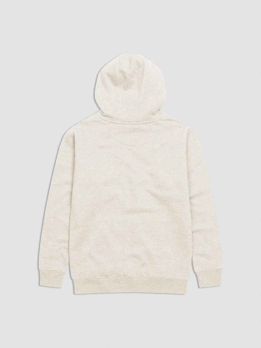 1 OF 1 290 RACE HOODIE product image (2)