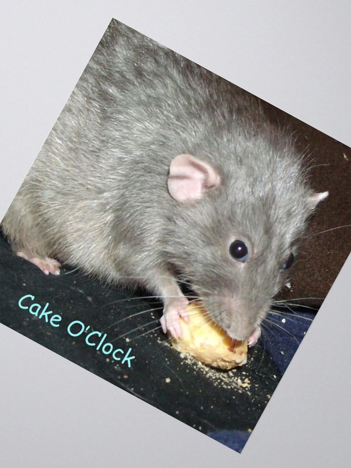 Cake o'clock sticker product image (5)