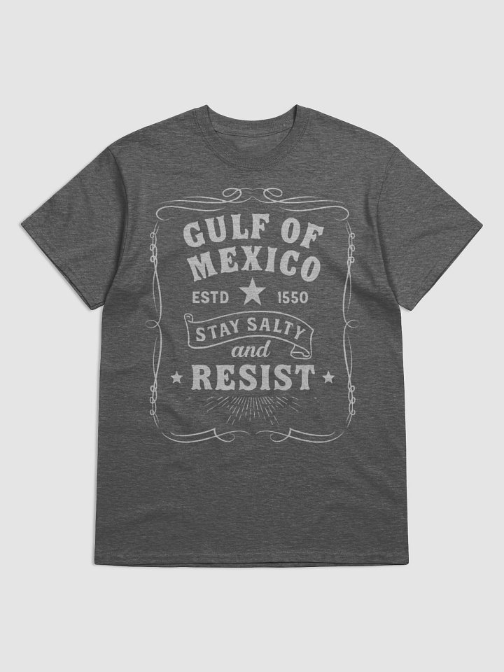 Gulf of Mexico ESTD 1550 – Stay Salty and Resist T-Shirt product image (1)