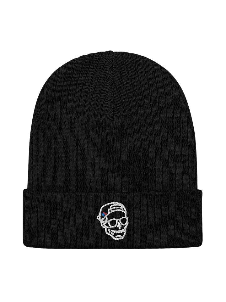 embroidered Skull - Ribbed Knit Beanie product image (1)