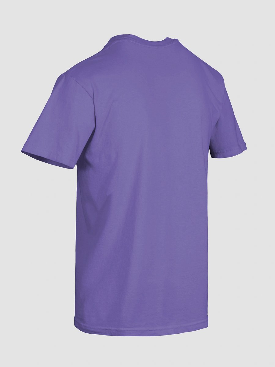 UFO Ultraconservative Family Oriented T-Shirt product image (10)