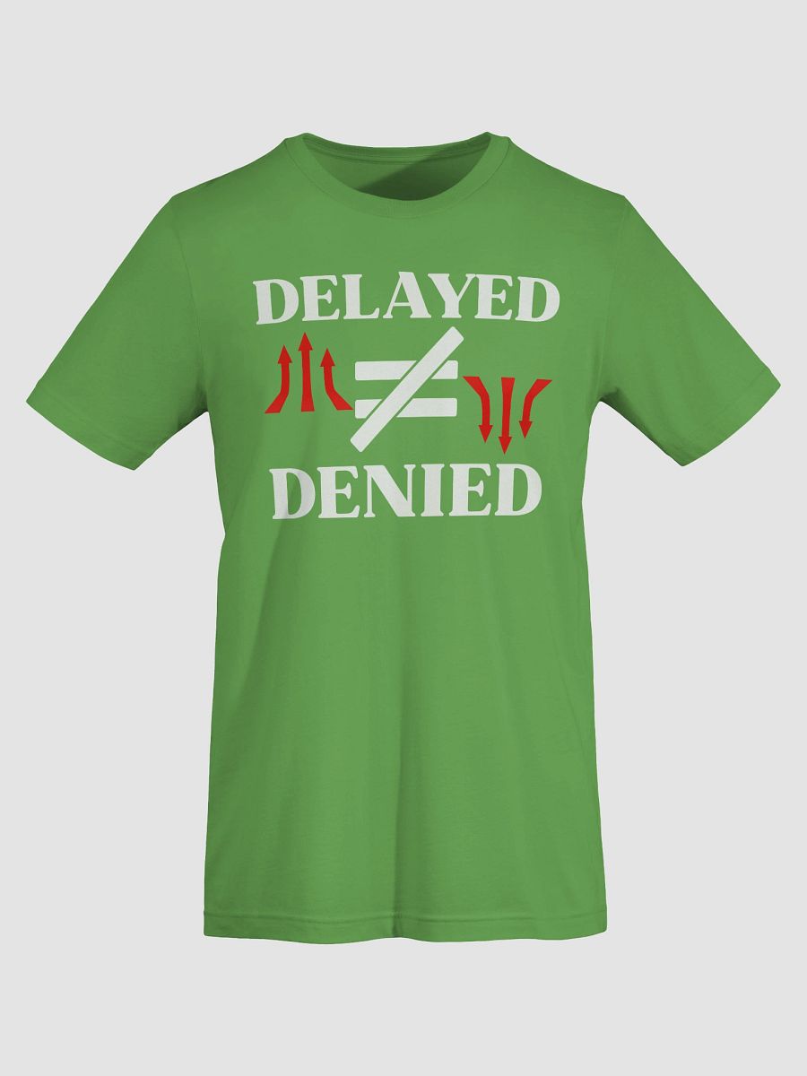 Delayed Not Denied Bella Canvas T-shirt product image (6)