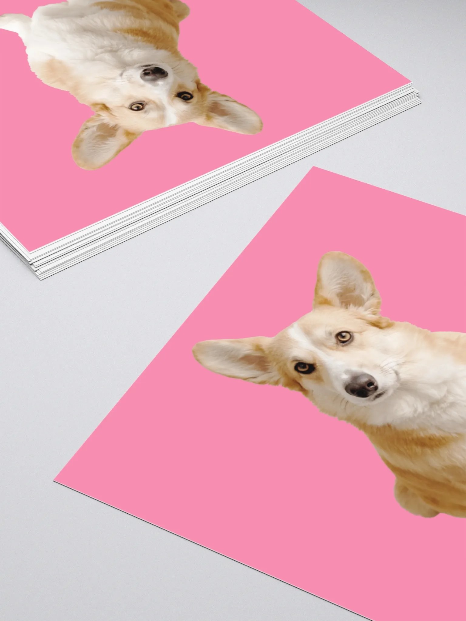 No Gods No Masters - Pink Sticker product image (10)