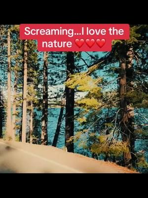 I love how much my son loves the nature just like his daddy! #naturebound #marcel #natureheal #nature #donner 