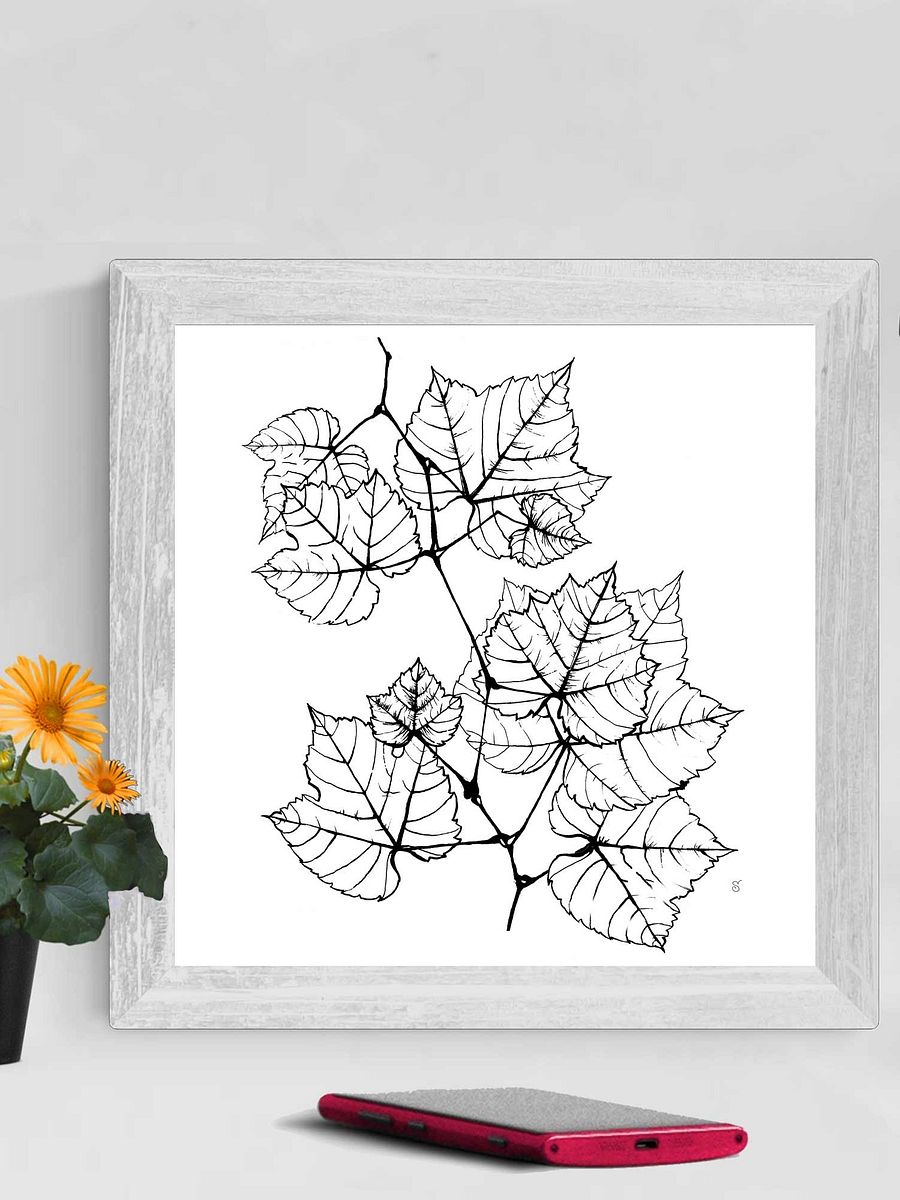 Blank Canvas: Unleash Your Artistic Vision - Grape Leaves Elegant product image (3)