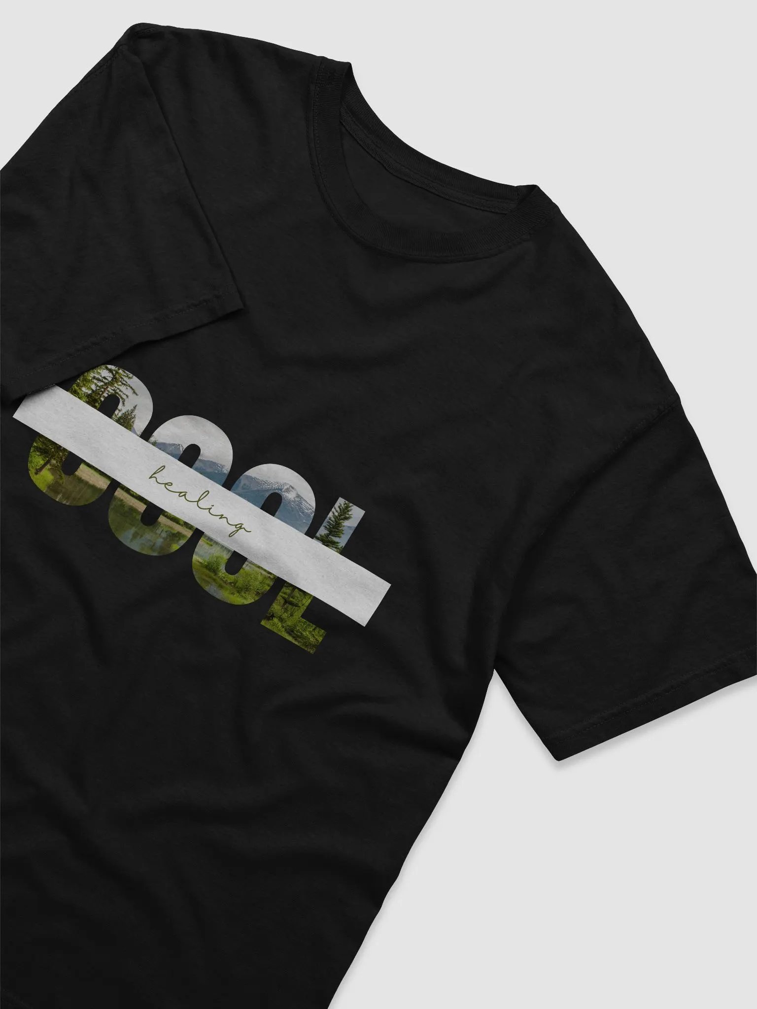 Comfort Colors Garment-Dyed Heavyweight T-Shirt product image (3)