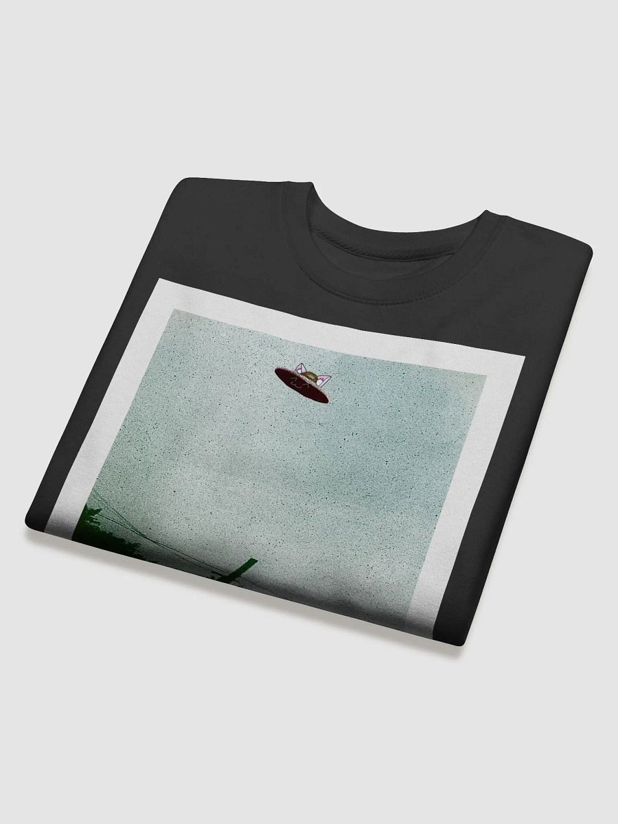 UwUspiracy Sweatshirt product image (4)