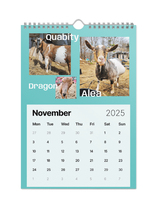 BrowncoatGoat Barn's Goats of 2025 product image (6)