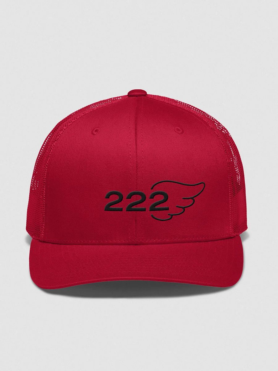 Aligned AF 222 Trucker Snapback product image (1)