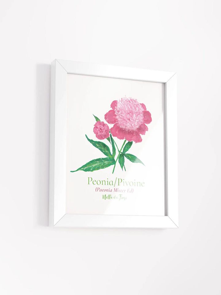 Pivoine Botanicus Frame product image (6)