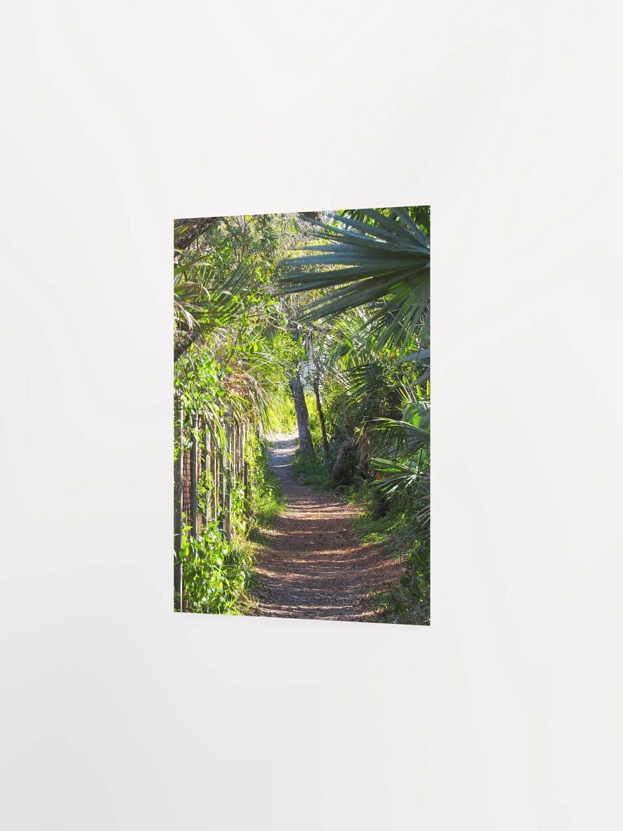 Ponce Inlet, FL Trail product image (22)