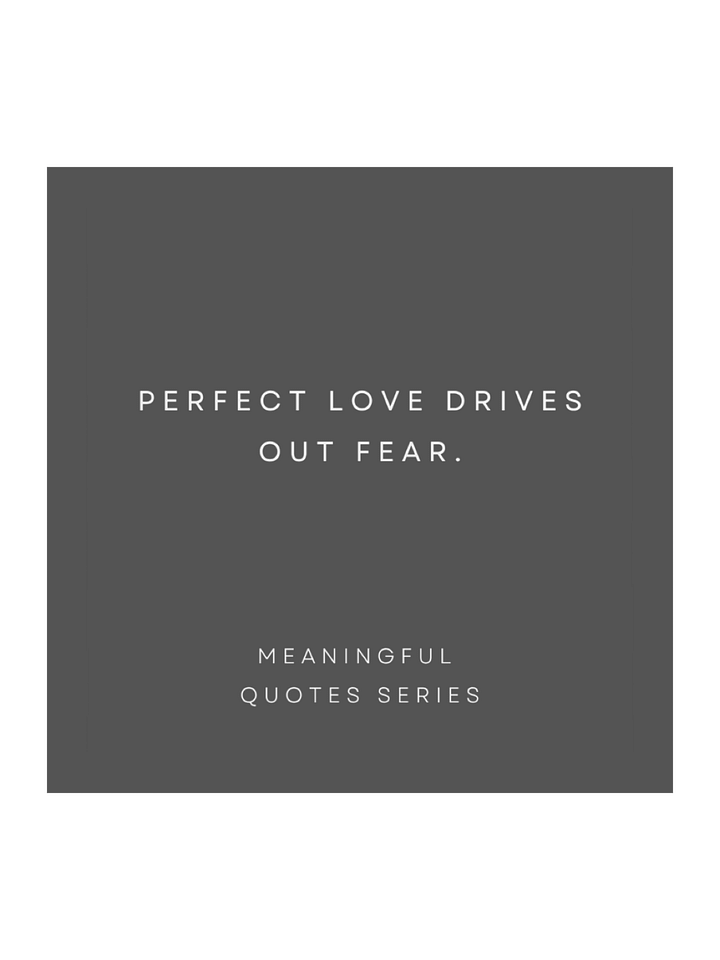 Perfect Love. product image (1)