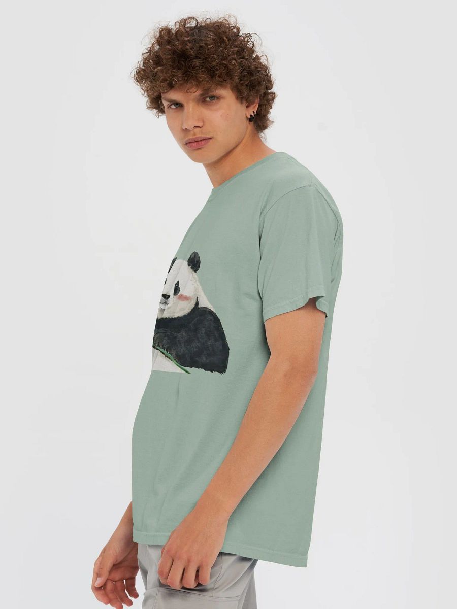 AIBAO🐼Giant Panda product image (82)