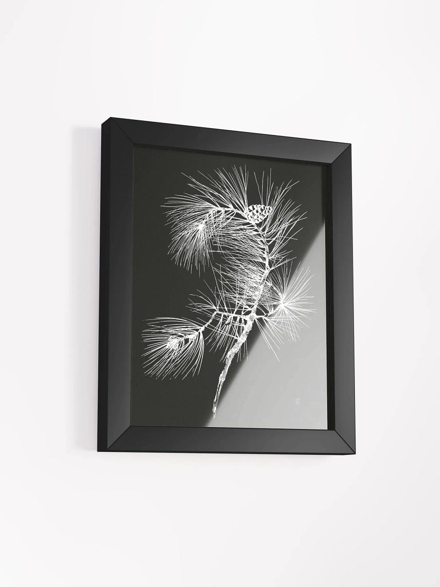 Botanical Elegance: Pine Branch Poster - Pine Branch Dark product image (18)