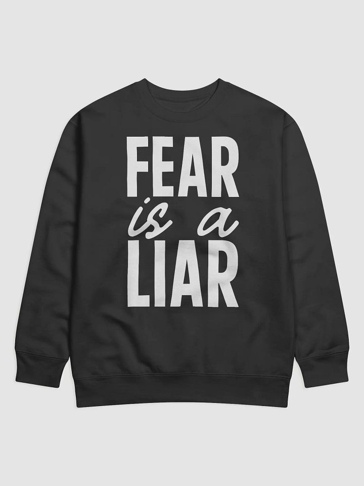 Fear Is A Liar Hoodie product image (1)