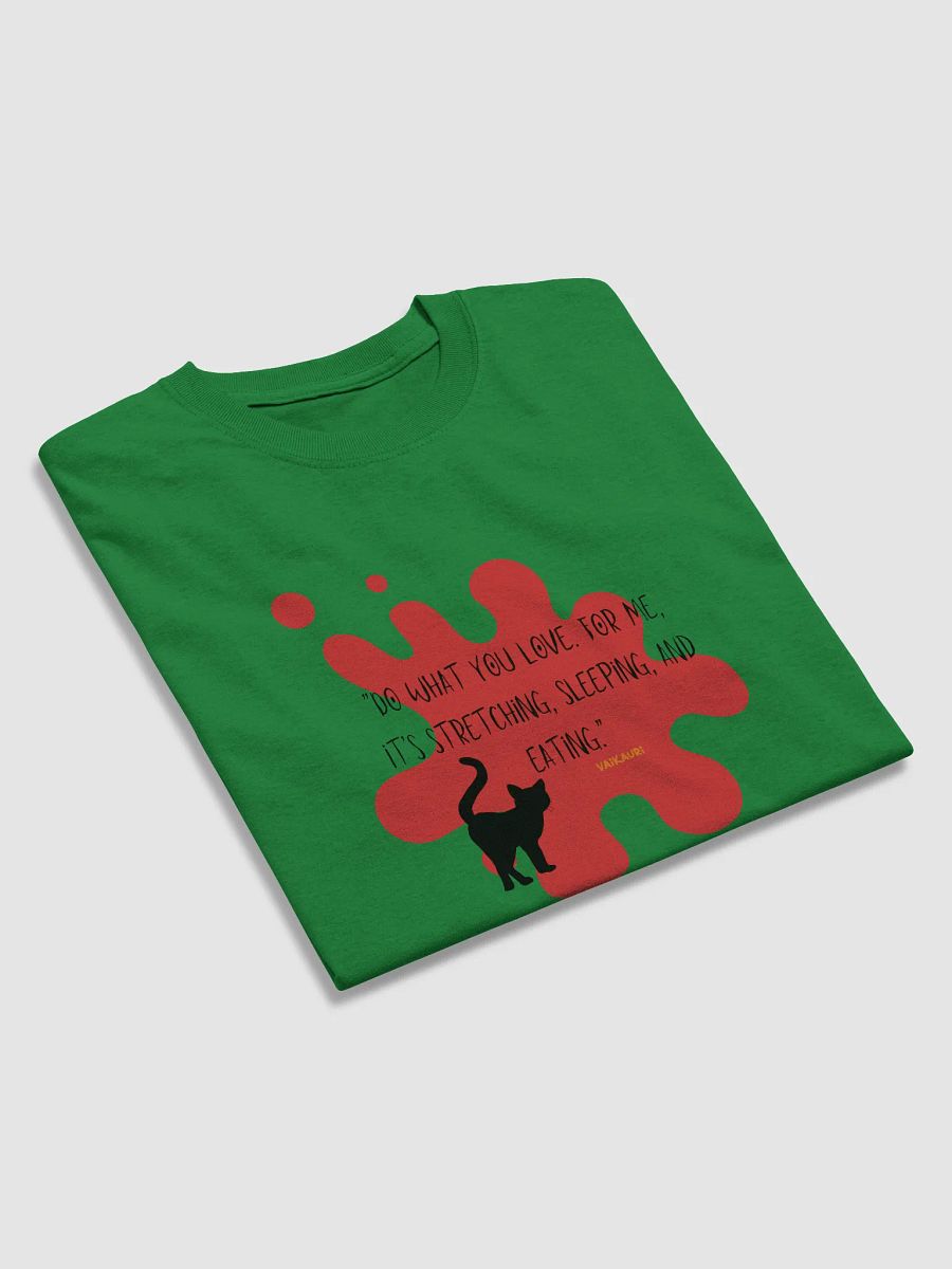 Stretch, Sleep, Eat T-Shirt product image (34)