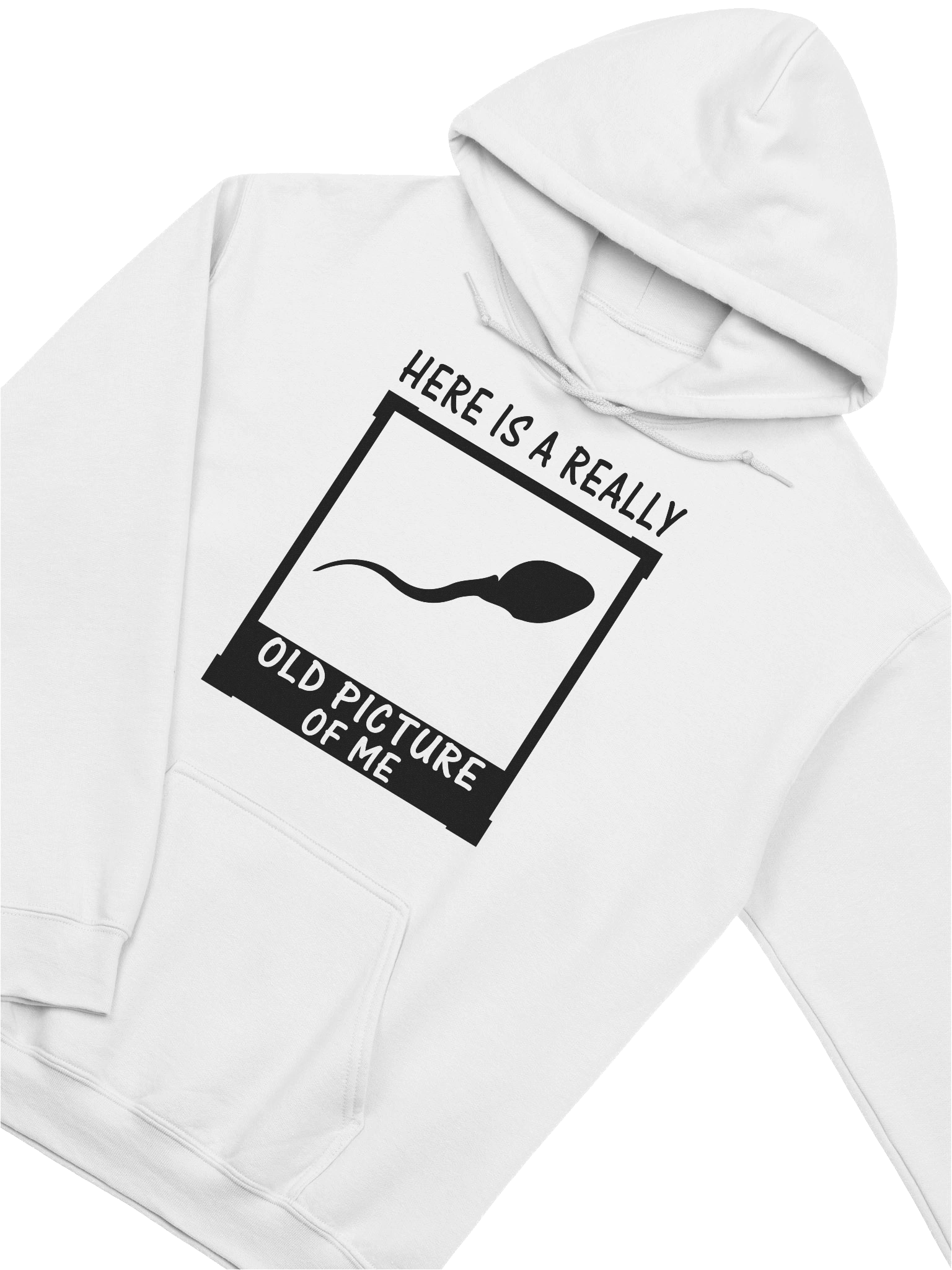 Here Is A Really Old Picture Of Me Hoodie product image (3)