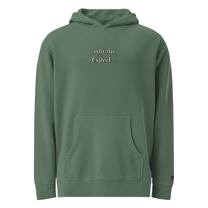 "not an expert..." Official Charcoal Hoodie product image (1)