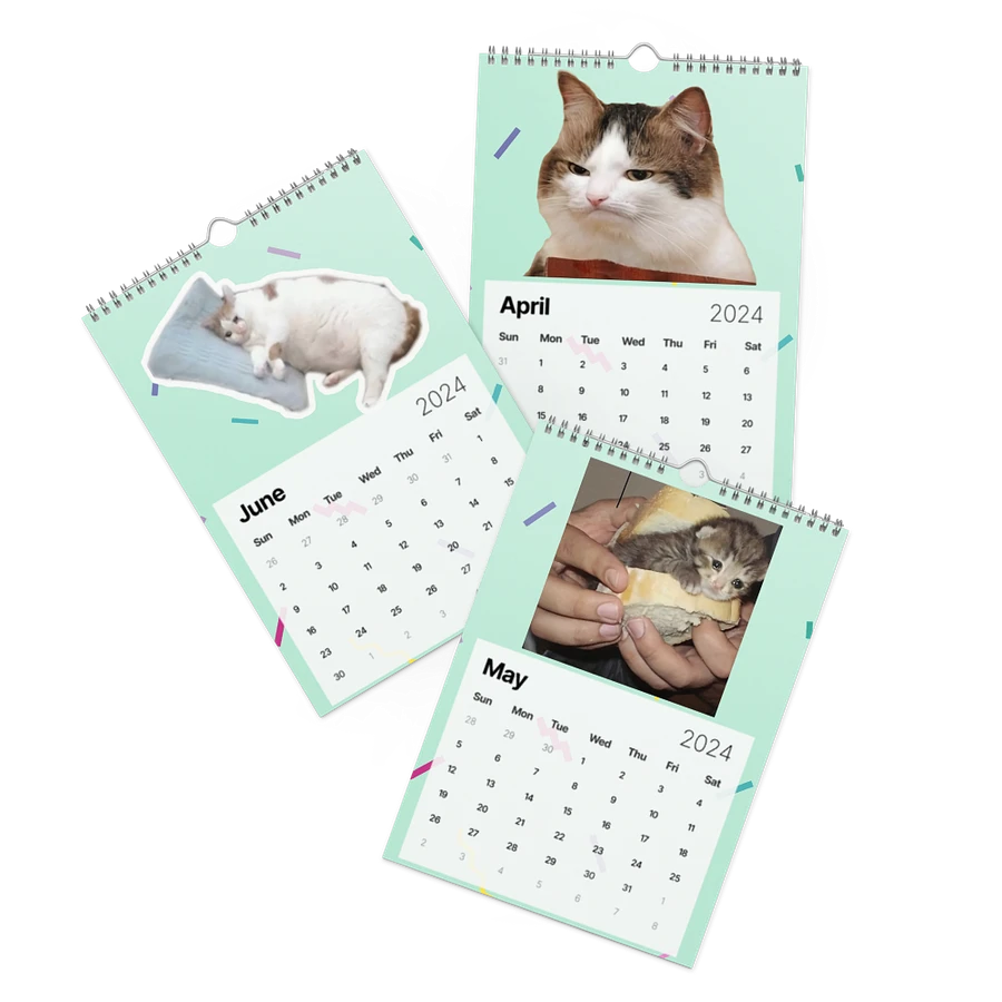 Wall Calendar (2024): Meme Cats product image (3)