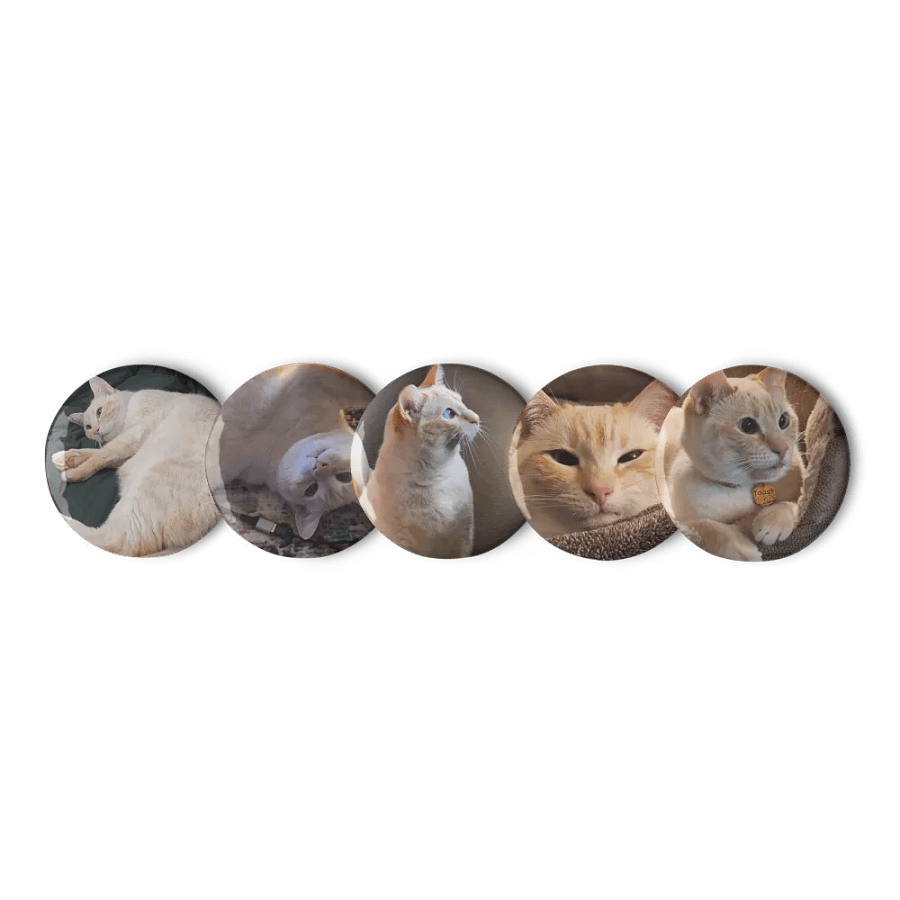 Toasty Pin Set product image (6)