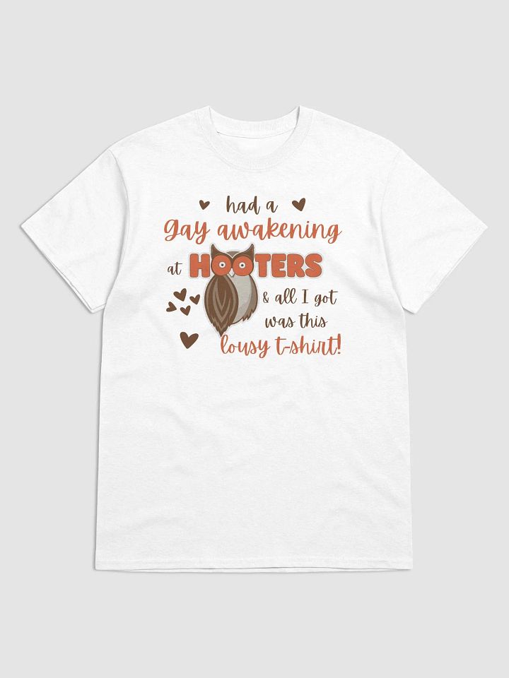 Had a Gay Awakening at Hooters product image (1)