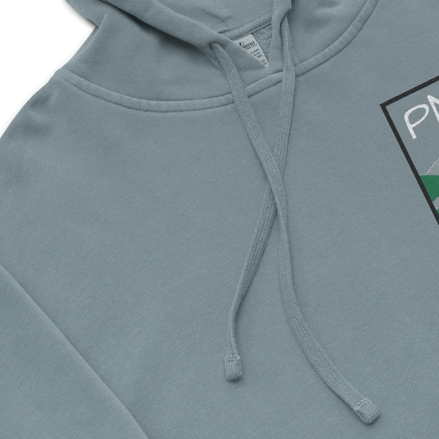 PNW Stitched Hoodie product image (19)