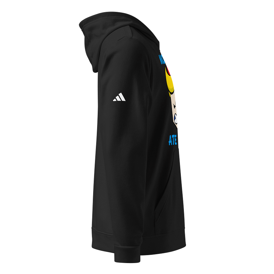 Mosquitoes ADIDAS Hoodie product image (3)