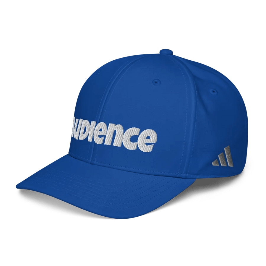 "Audience" baseball hat product image (5)