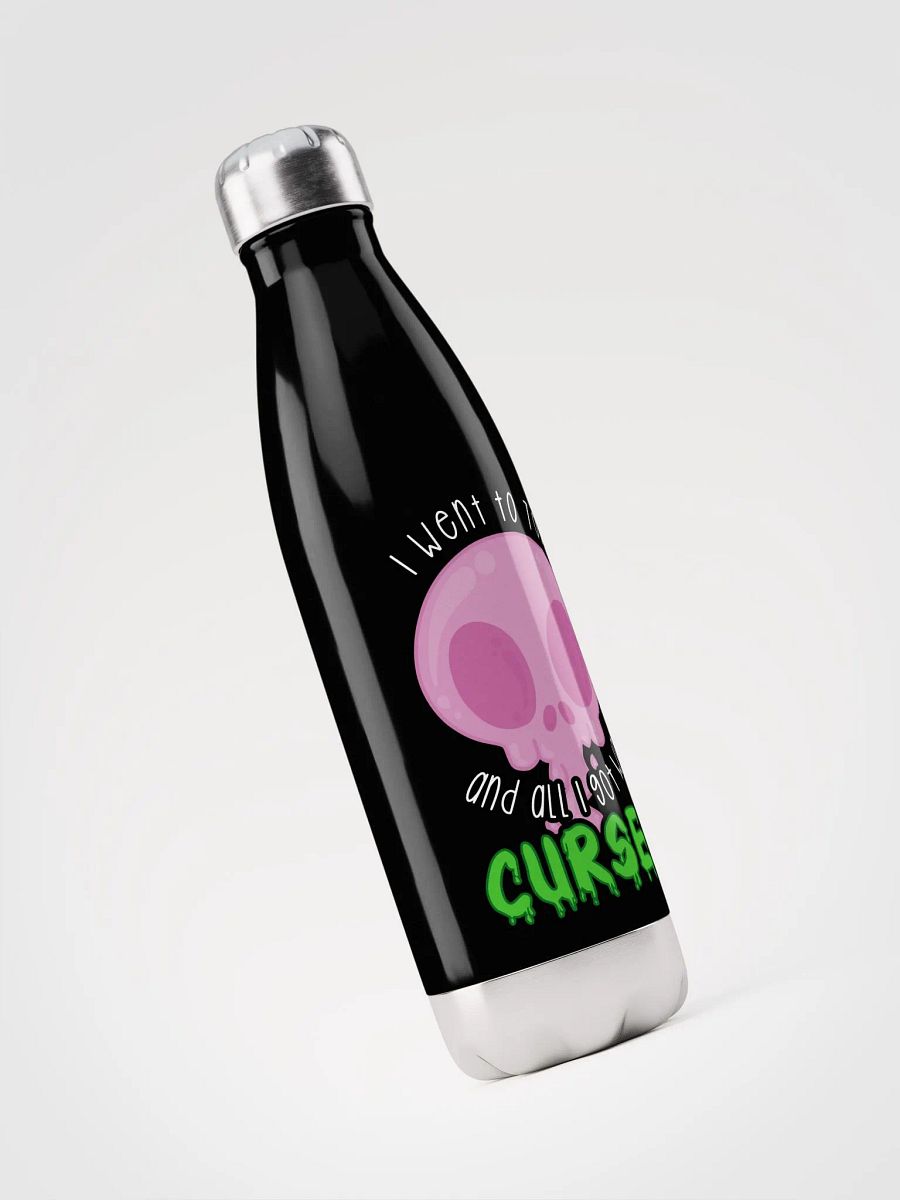 All I Got Was Cursed - Paladin - Water Bottle [Stainless Steel] product image (3)