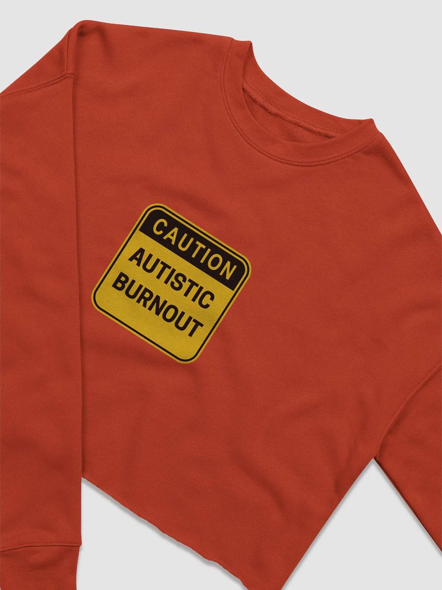 CAUTION: ASD BURNOUT cropped crewneck product image (3)